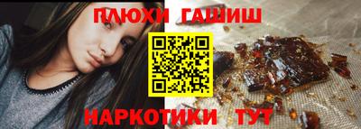 шишки Тара