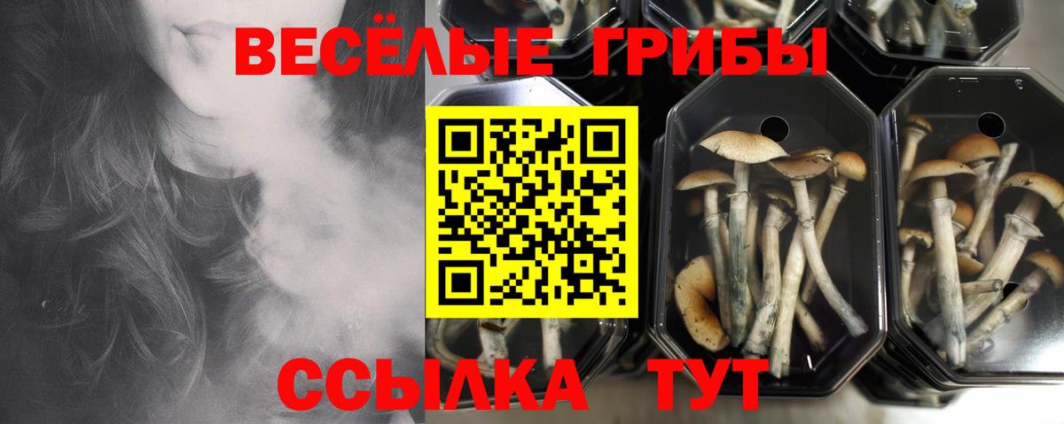 Галлюциногенные грибы MAGIC MUSHROOMS  Галлюциногенные грибы мицелий  Верхний Уфалей  Вход с VPN 